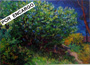 VAN GOGH 3VG7350 A MEDIDA POR ENCARGO
